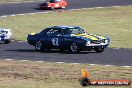 Historic Car Races, Eastern Creek - TasmanRevival-20081129_466